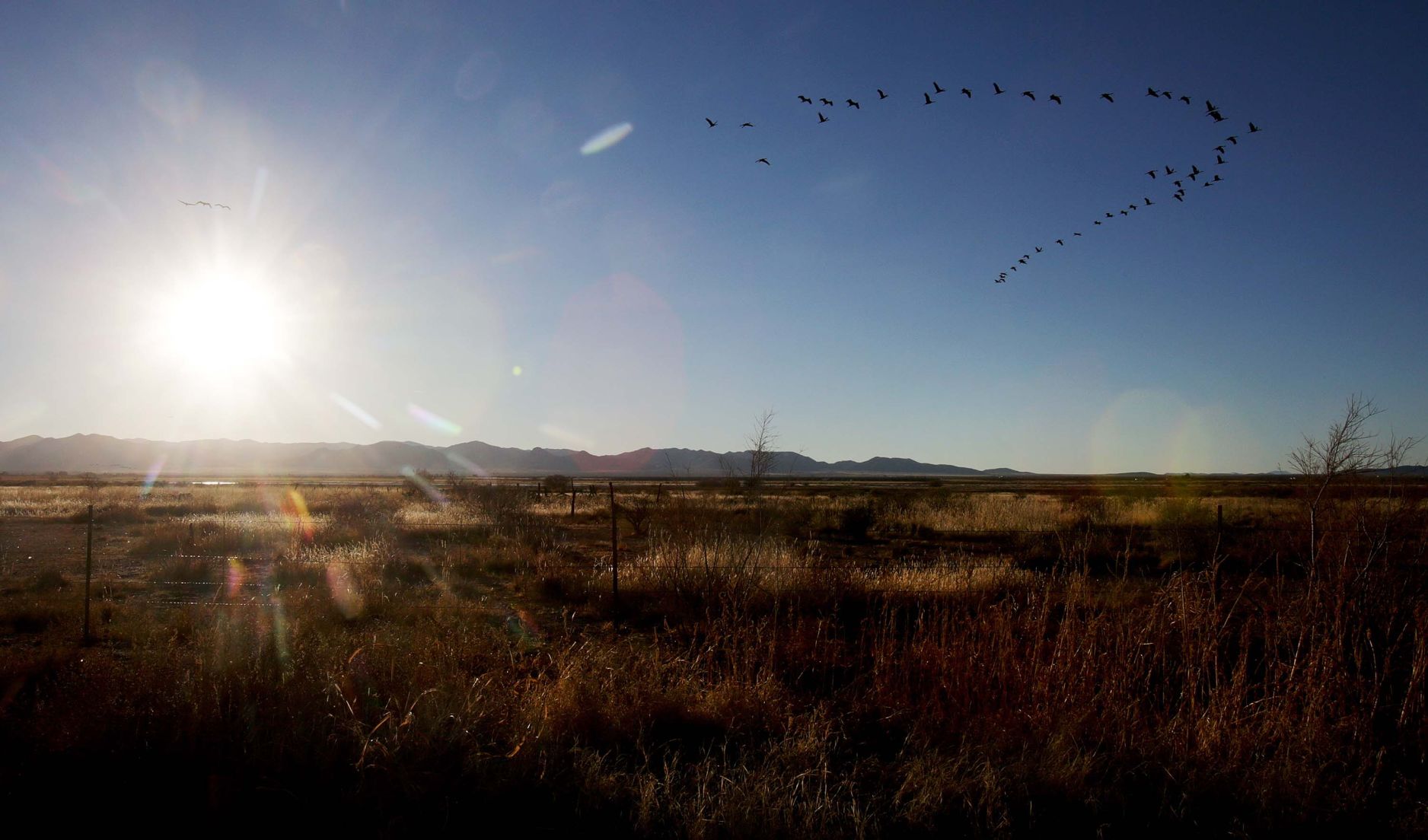 2018 Wings over Willcox